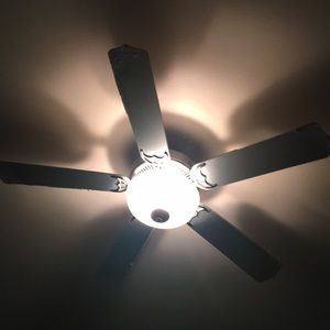 Meet your Posher, Shavez